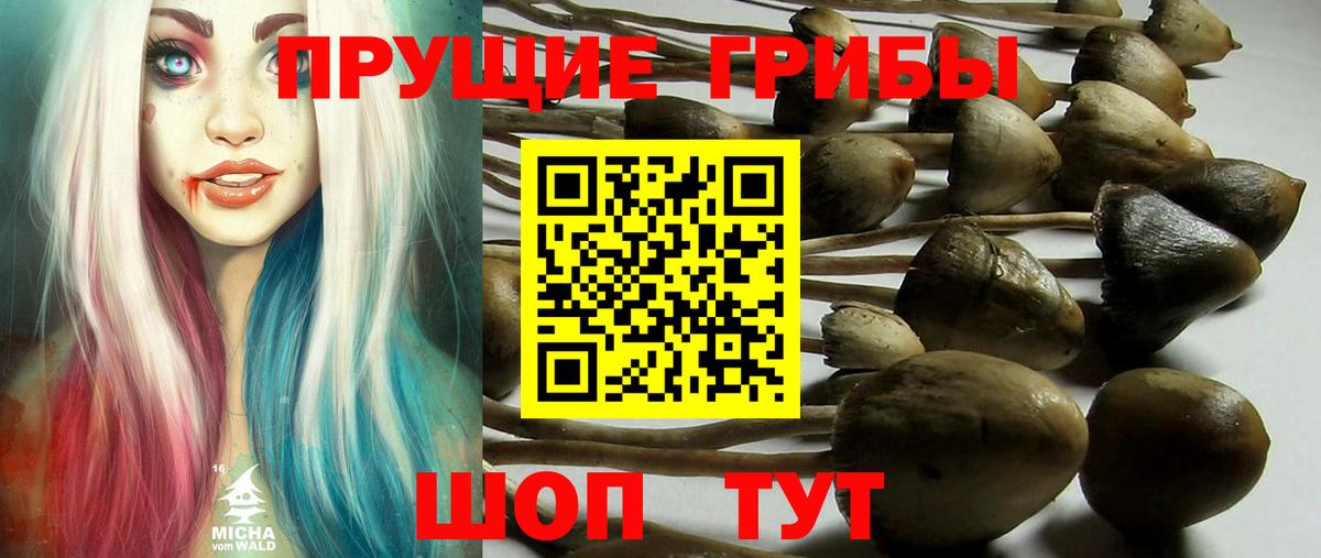 Галлюциногенные грибы ЛСД Качканар