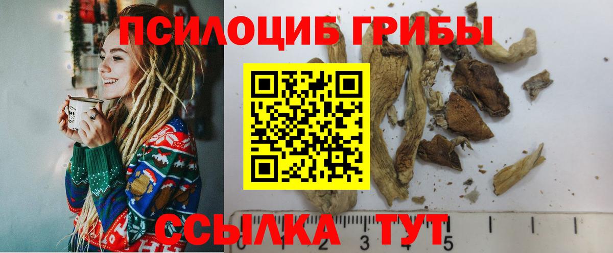 Качканар  Галлюциногенные грибы Cubensis  Вход с VPN 